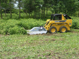 Skid Steer Mounted Hydraulic Powered Brush Cutter