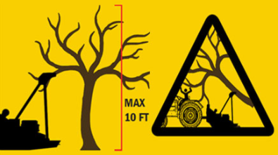 Maximum Tree Height to cut 10 ft.
